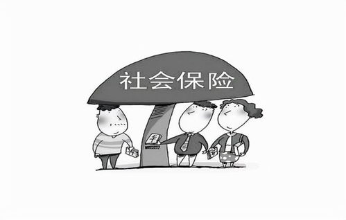 公司社保交不交好？律师深度解析利弊与法律风险