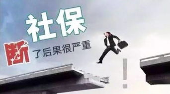 公司不交社保，真的是为员工省钱吗？大箴科技这样的操作背后藏着哪些风险？