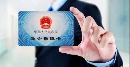 公司突然中断社保不交了，我的权益怎么办？