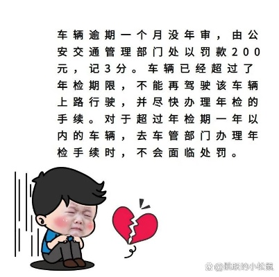 审车逾期1年咋样办？老司机也别慌，律师教你救车指南！
