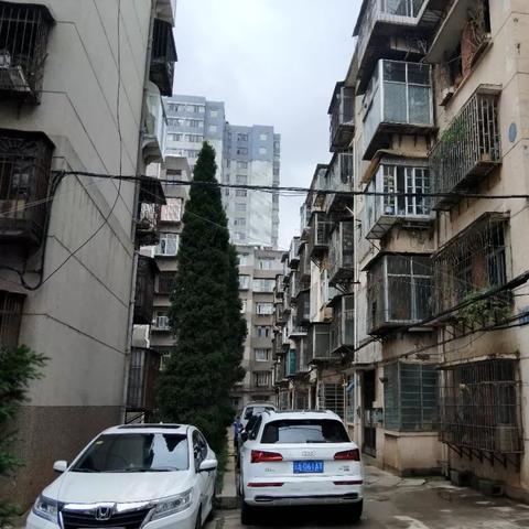 房子违建怎么处理？专业律师教你合法应对！