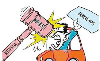 遇到交警执法不公，怎么举报才有效？