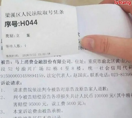 收到这些，是不是网贷要起诉我了？