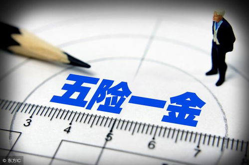 公司不交社保，我该怎么办？