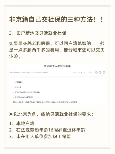 北京社保不交，钱能退吗？专业律师为您详解退费路径