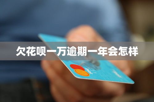 花呗欠1万逾期1年，会坐牢吗？律师教你如何化解危机