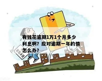 欠有钱花1万逾期1年，利息竟能翻倍？律师教你如何应对！