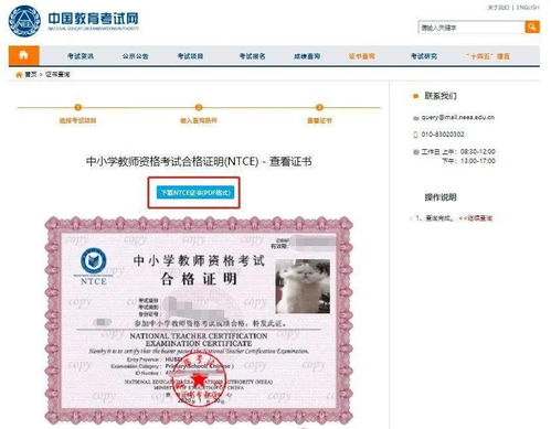 银行卡证明怎么开？一文详解办理流程与注意事项