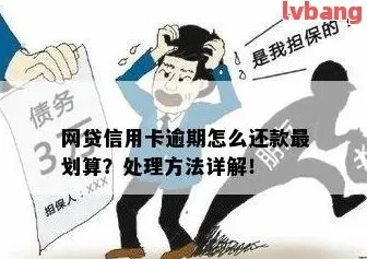 网贷逾期上了征信？别慌！律师教你3招补救秘籍