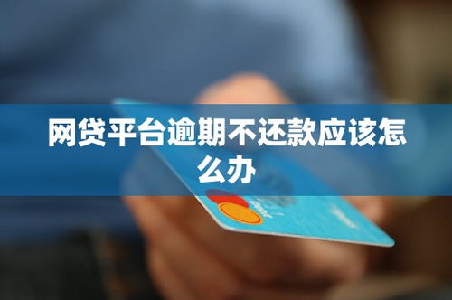 网贷逾期上征信了怎么办？别慌！律师教你3招补救！