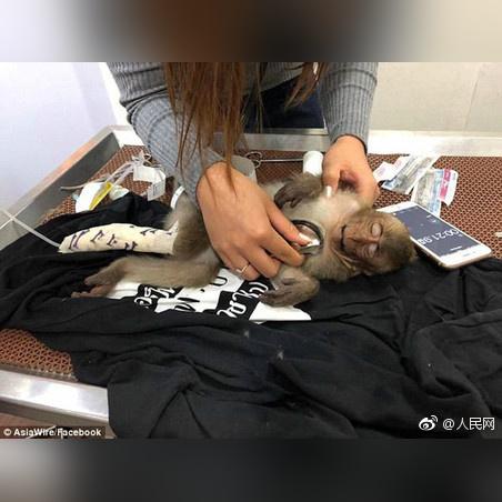 网贷逾期后要求一次性还清，合法吗？