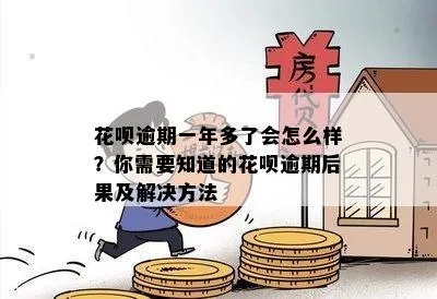 我花呗逾期1年，后果真的只是多还点钱吗？