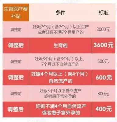 生娃能领钱？手把手教你搞定生育津贴！