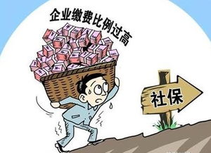 哪些行为可以不交社保？律师告诉你真相！