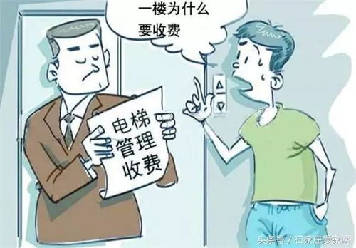 缓刑期间社保到底该不该交？别让空白期坑了你的未来！