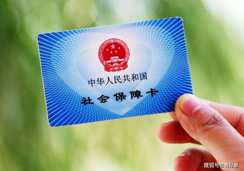 社保没交怎么查明细？别慌，律师教你三招搞定！