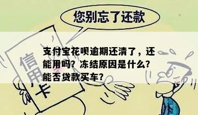 花呗逾期1年被冻结，我的信用还有救吗？
