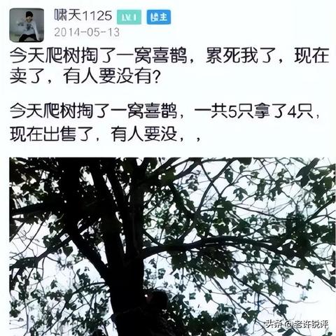 员工不交社保，真的会坐牢吗？律师来给你掰扯清楚