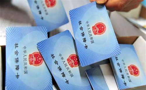 不交社保了，我该怎么办？