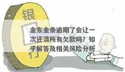 京东金条逾期1年多，我该如何应对可能的法律风险？