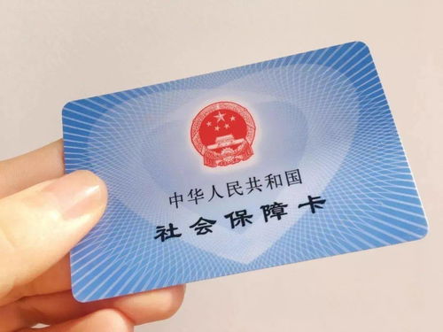 公司分红到手，社保却断供？你的权益正在被悄悄侵蚀！