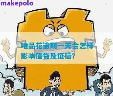 唯品花逾期1年，真的只是忘了还那么简单吗？
