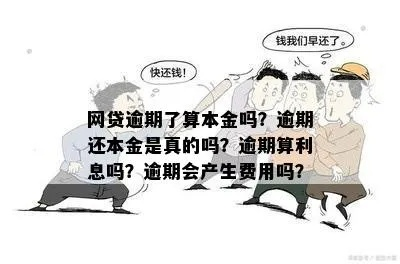 几百块的网贷逾期没还？小心这些后果比本金还贵！