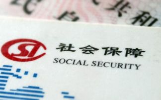 个人社保断缴了怎么办？还能补交吗？