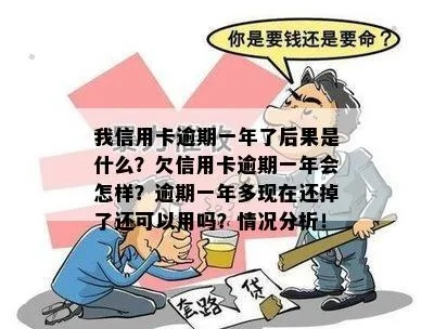 有用分期逾期1年，我该怎么办？