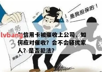逾期网贷多久催收会打给家里人？一文说清法律责任与应对策略