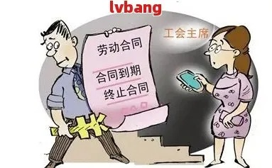 国企员工网贷逾期被辞退，还能拿到补偿吗？