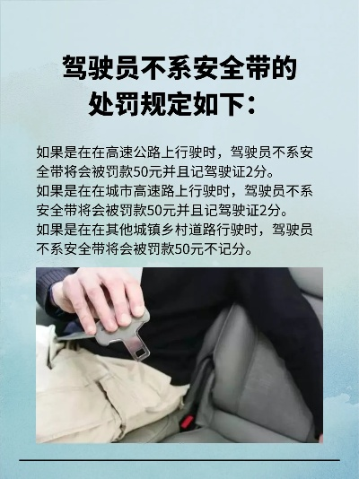 后排不系安全带也罚？2024年最新处罚标准全解析！