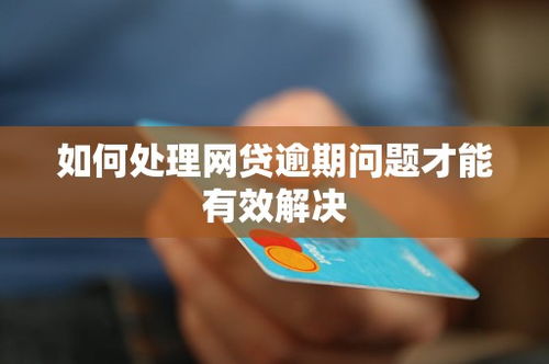 大连网贷逾期费用多少钱