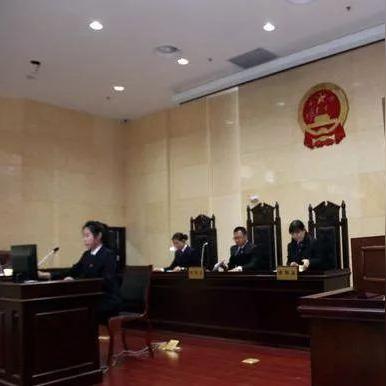 公司不交社保，我该怎么办？你的维权指南来了！