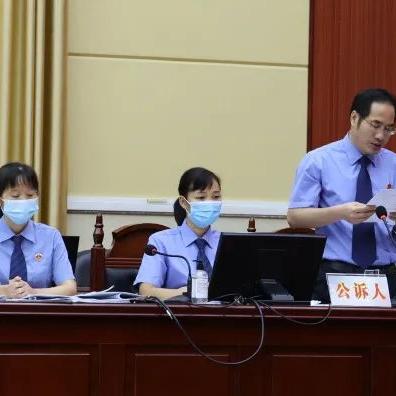 借了高利网贷，被转让后起诉我，该怎么办？