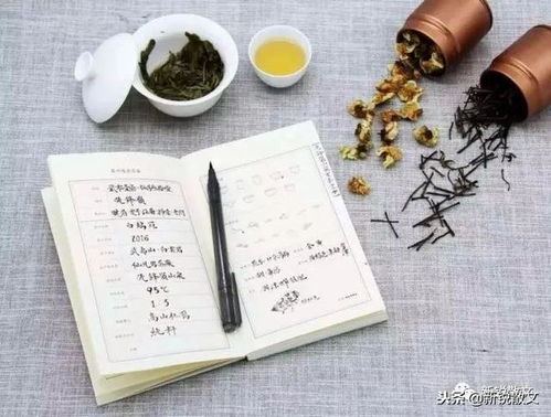 这问题啊，真没有一个放之四海而皆准的标准答案，不像咱们法律条文，一加一等于二那么明确。但作为一名见过太多悲欢离合的律师，我想从几个角度跟大家掏掏心窝子