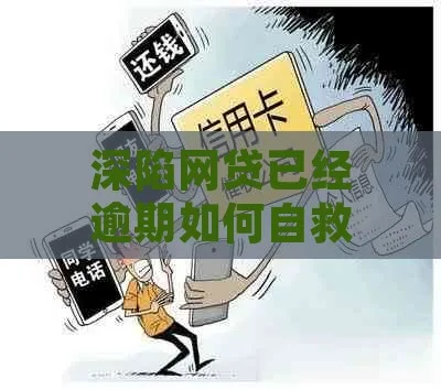 网贷逾期了怎么办？我爱卡用户必看的法律自救指南