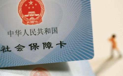 公司不交社保，我该告谁？你的权益守护指南