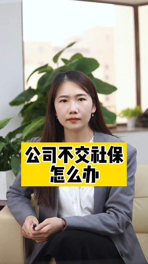 公司不交社保，我该怎么办？你的权益守护指南