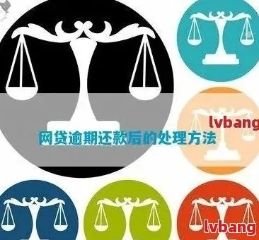 网贷还款逾期了，九月份该怎么办？律师教你应对策略