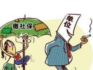 私企不交社保，我该如何补交？别慌，手把手教你维权！