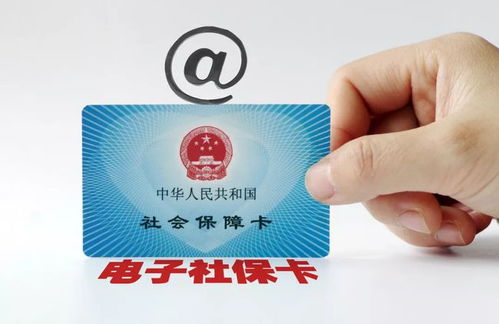 社保卡怎么交钱？一文教你轻松搞定！