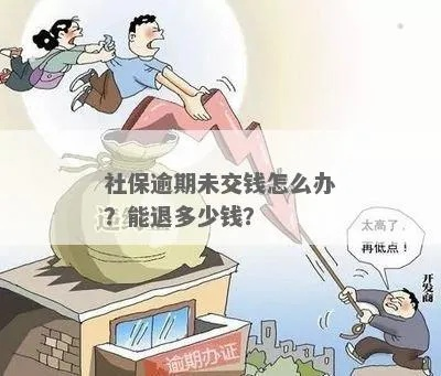 社保欠缴被罚巨款！现在补缴还来得及吗？