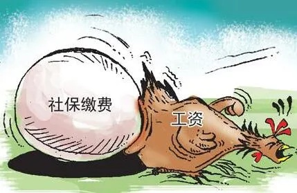 十年青春奉献，社保竟成空谈？企业十年不交社保，员工权益何去何从？