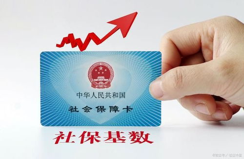 社保不交，真的能省下一大笔？别等吃亏才后悔！