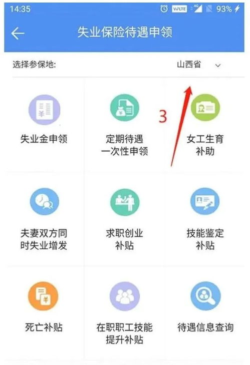 失业保险怎么查询？手把手教你快速查清自己的权益！