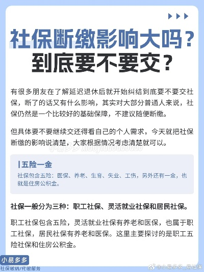 以后不交怎样的社保