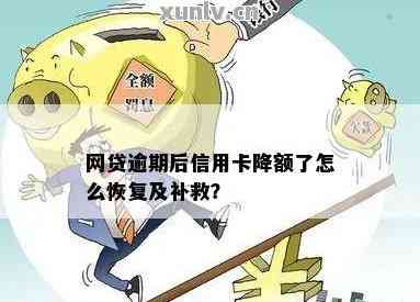 网贷债权被卖了，我被新债主起诉了，该咋办？