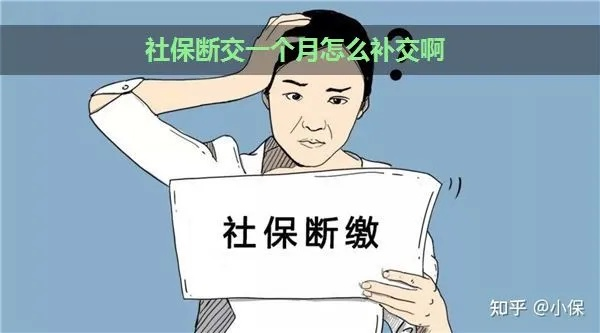 社保交到一半，我能断供吗？