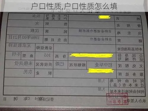 户籍性质怎么填？这些细节不注意可能影响你的权益！
